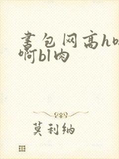 书包网高h嗯…啊bl肉