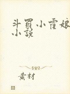 斗罗小霍娘同人小说