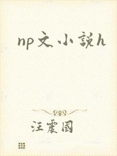 np文小说h