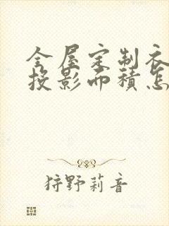 全屋定制衣柜的投影面积怎么算