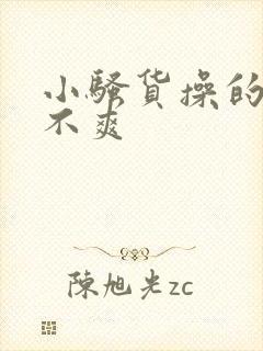 小骚货操的你爽不爽封面