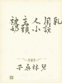 被主人用乳夹玩奶头小说