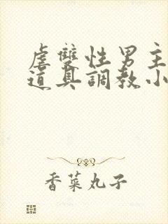 虐双性男主身的道具调教小说封面