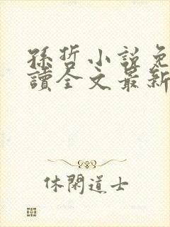 孙哲小说免费阅读全文最新章节封面