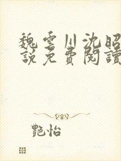 魏云川沈昭禾小说免费阅读笔趣阁