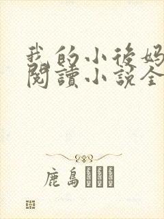我的小后妈免费阅读小说全文