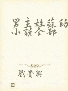 男主姓苏的现代小说全部