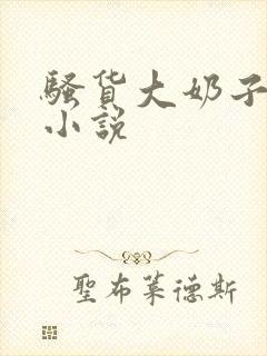 骚货大奶子言情小说封面