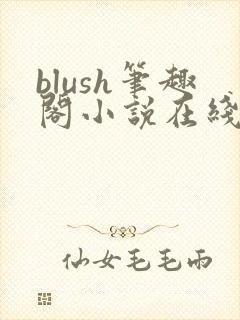blush笔趣阁小说在线阅读封面