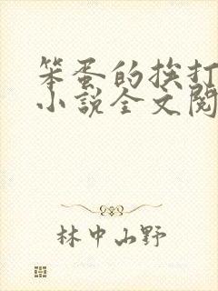 笨蛋的挨打日常小说全文阅读免费