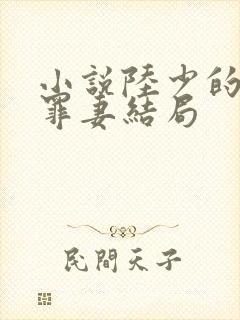小说陆少的隐婚罪妻结局封面