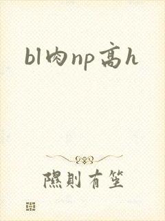 bl肉np高h