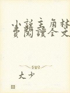 小说主角林风免费阅读全文封面