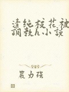 清纯校花被地狱调教h小说封面