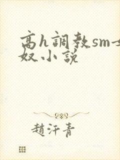 高h调教sm女奴小说