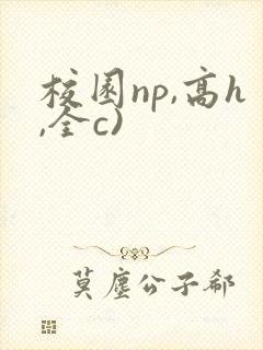 校园np,高h,全c)