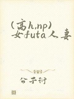 (高h,np)女futa人妻