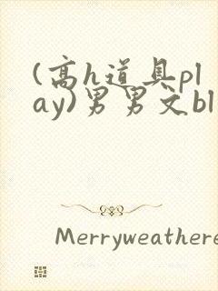 (高h道具play)男男文bl