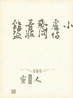 能看飞卢小说的盗版网站