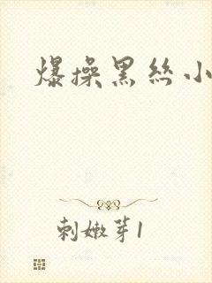 爆操黑丝小骚货封面