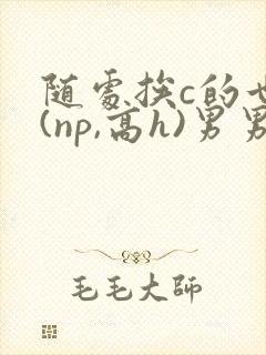 随处挨c的世界(np,高h)男男