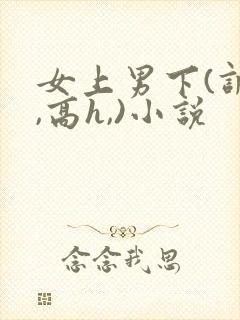 女上男下(调教,高h,)小说