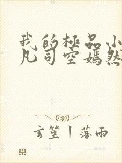 我的极品小姨叶凡司空嫣然