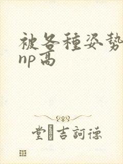 被各种姿势玩弄np高封面