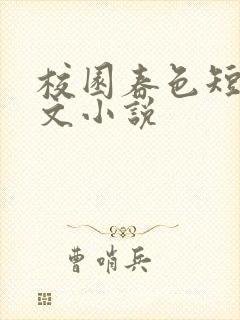 校园春色短篇辣文小说封面