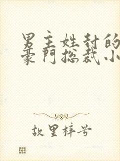 男主姓封的所有豪门总裁小说