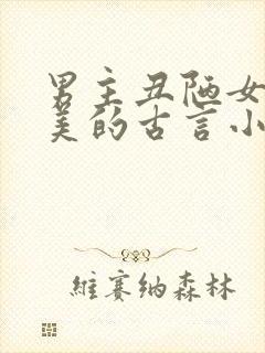 男主丑陋女主貌美的古言小说