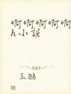 啊啊啊啊啊啊高h小说