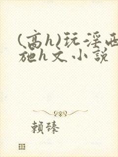 (高h)玩淫西施h文小说