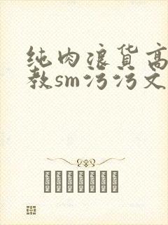 纯肉浪货高h调教sm污污文