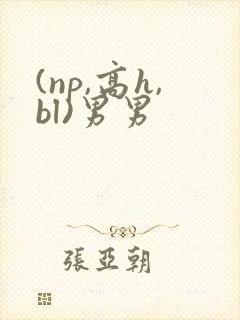 (np,高h,bl)男男