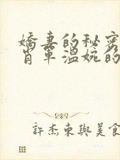 娇妻的秘密白柔肖军温婉的小说免费阅读