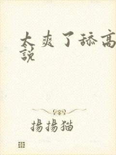 太爽了舔高h小说封面