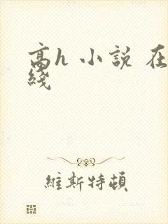 高h 小说 在线