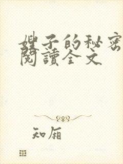 嫂子的秘密小说阅读全文封面