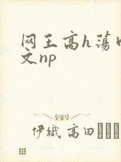 网王高h荡肉爽文np