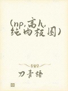 (np,高h,纯肉校园)