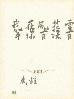 我在风花雪月里等你有没有续集