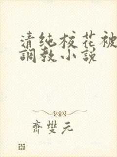 清纯校花被地狱调教小说封面