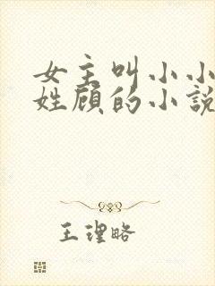 女主叫小小男主姓顾的小说