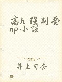 高h 强制受 np小说封面