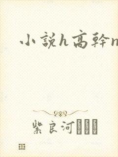 小说h高干np