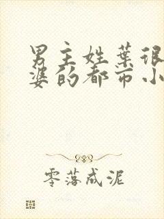 男主姓叶很多老婆的都市小说封面