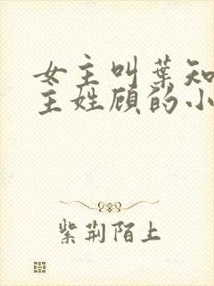 女主叫叶知秋男主姓顾的小说