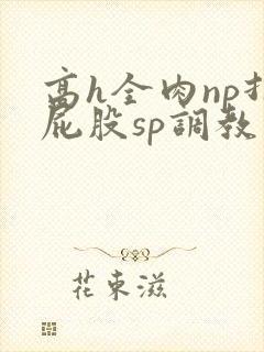 高h全肉np打屁股sp调教