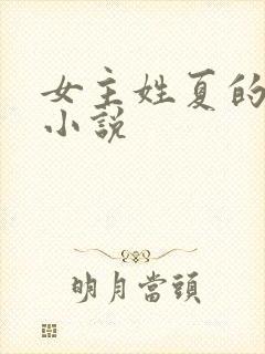 女主姓夏的现代小说